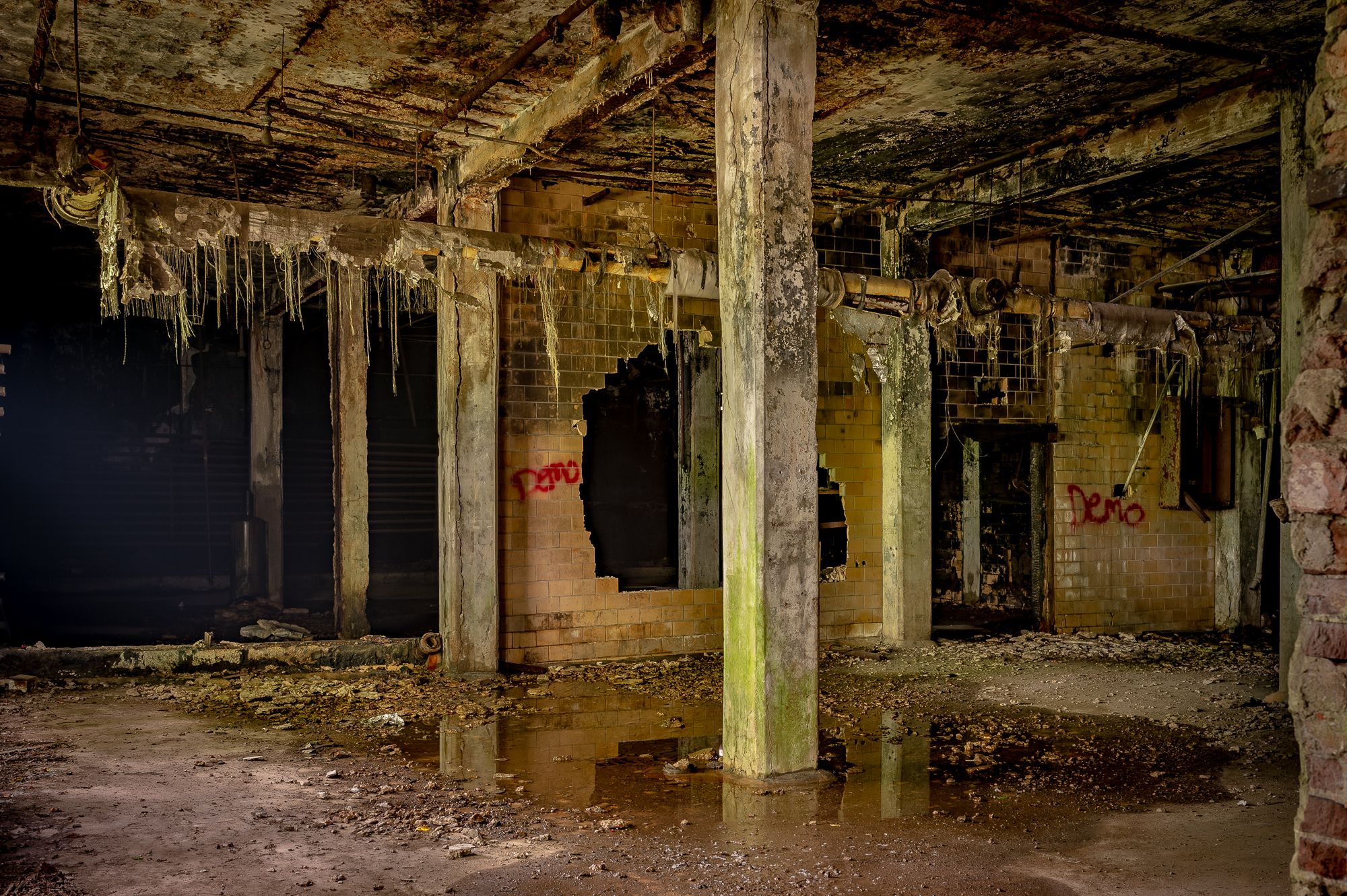 Neuhoff_HDR_ruffs-18