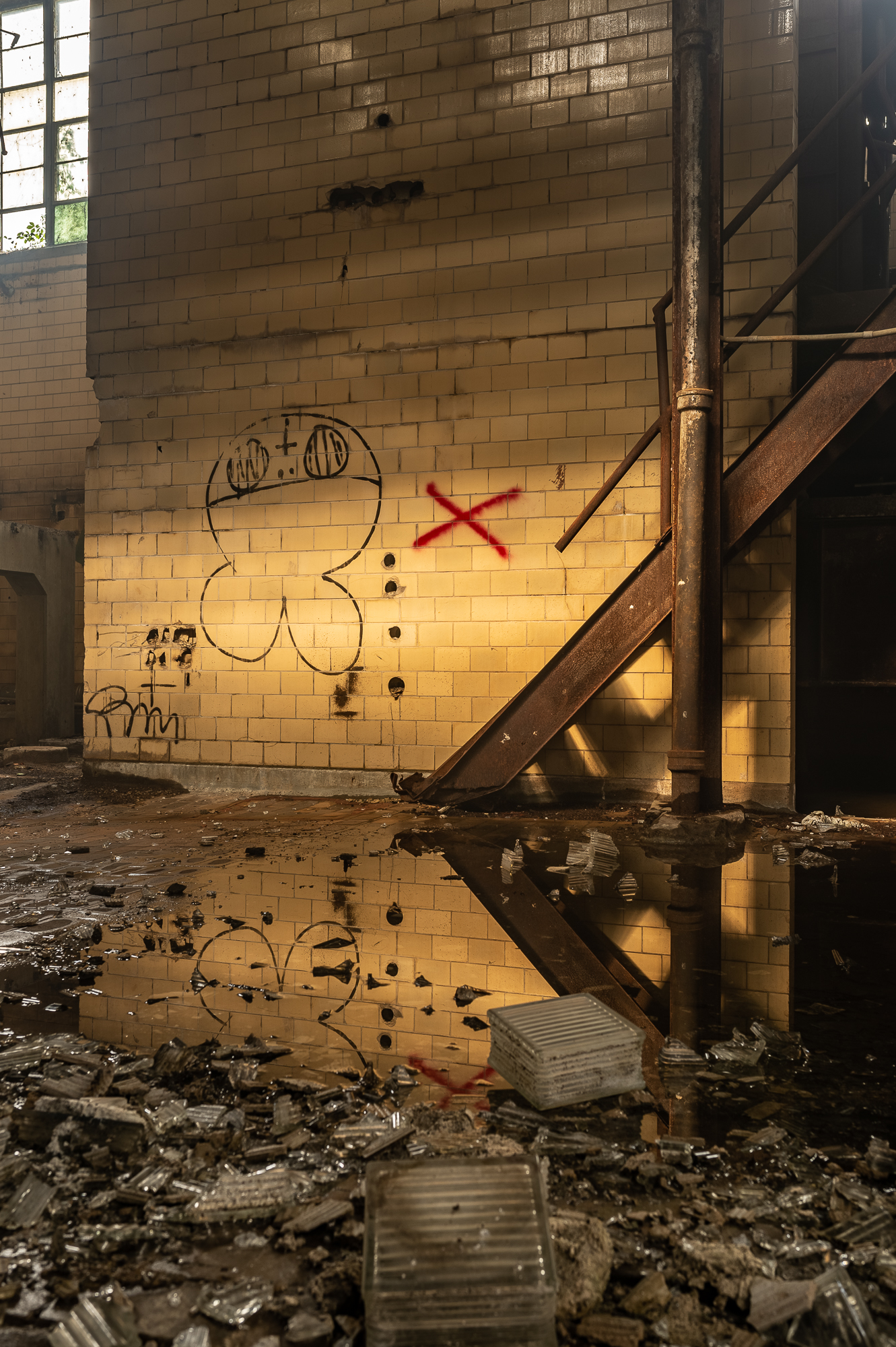 Neuhoff_HDR_ruffs-24