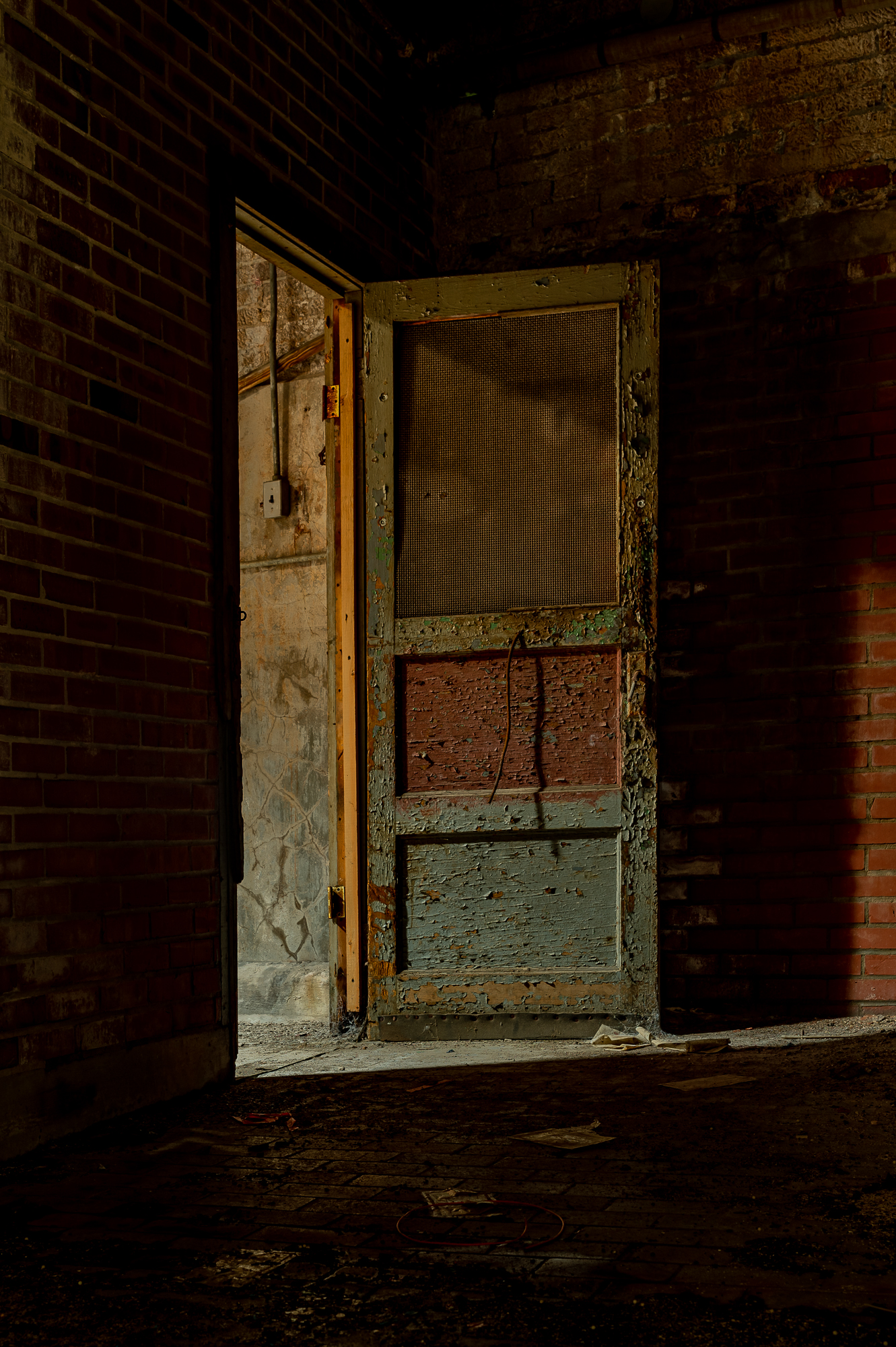 Neuhoff_HDR_ruffs-6